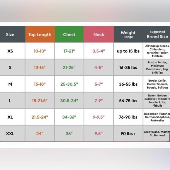 Top Paw Gray/Peach/Blue Floral Dress for Dogs. Size Medium. NWT! - Picture 5 of 5